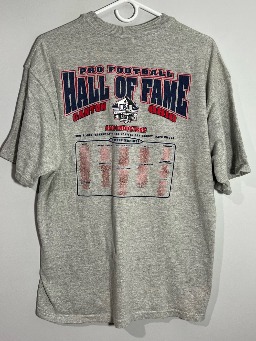 Vintage Champion Pro Football Hall Of Fame Class Of 2000 Gray T-Shirt Mens Large